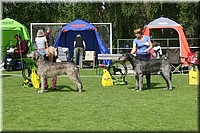 Z100613-140.jpg