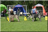 Z100613-141.jpg