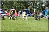 Z100613-142.jpg