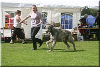 Z100613-146.jpg