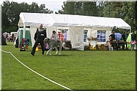 Z100613-147.jpg