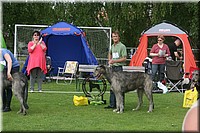 Z100613-152.jpg