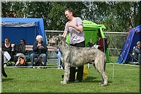 Z100613-157.jpg