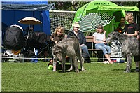 Z100613-168.jpg