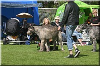 Z100613-169.jpg