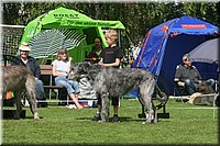 Z100613-170.jpg