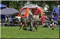 Z100613-171.jpg
