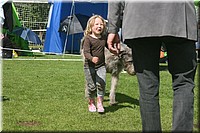 Z100613-172.jpg