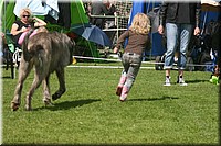 Z100613-175.jpg