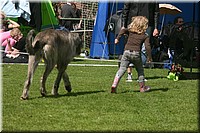Z100613-176.jpg