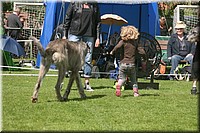 Z100613-178.jpg