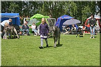 Z100613-184.jpg