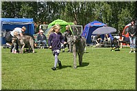 Z100613-185.jpg