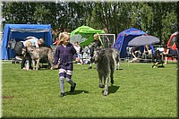 Z100613-186.jpg