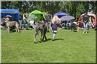 Z100613-187.jpg
