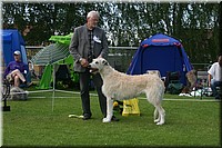 Z100613-384.jpg