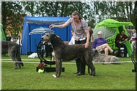 Z100613-385.jpg