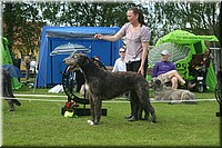 Z100613-386.jpg