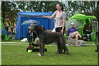 Z100613-387.jpg