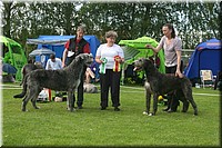 Z100613-389.jpg