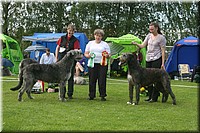 Z100613-390.jpg
