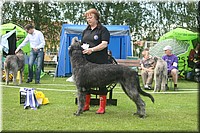 Z100613-392.jpg