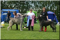 Z100613-397.jpg