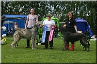 Z100613-398.jpg