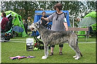 Z100613-401.jpg