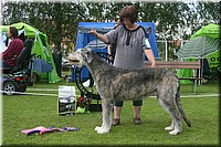 Z100613-402.jpg