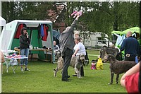 Z100613-407.jpg