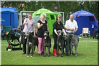 Z100613-411.jpg