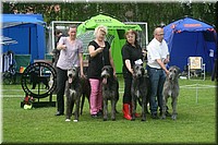Z100613-412.jpg