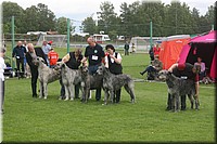 Z100613-421.jpg