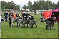 Z100613-422.jpg