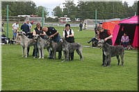 Z100613-423.jpg