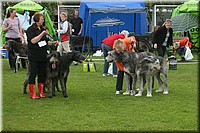Z100613-425.jpg