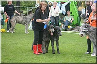 Z100613-428.jpg