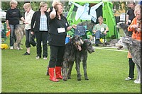 Z100613-429.jpg