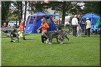 Z100613-430.jpg