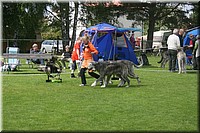 Z100613-431.jpg