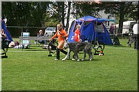 Z100613-432.jpg