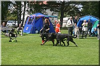 Z100613-433.jpg