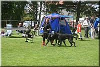 Z100613-434.jpg