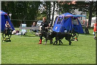 Z100613-435.jpg