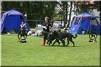 Z100613-436.jpg