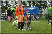 Z100613-440.jpg