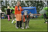 Z100613-441.jpg