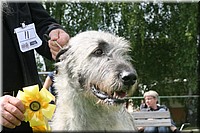 Z100613-447.jpg