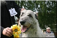 Z100613-448.jpg
